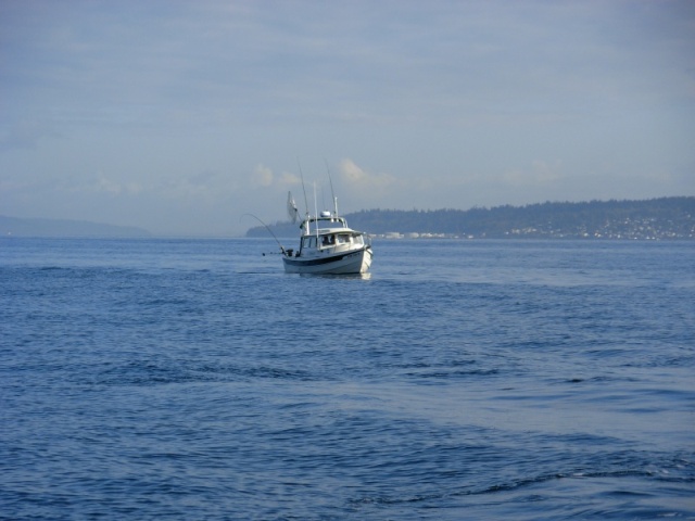 C-Dancer fishing Coho off Shilshole