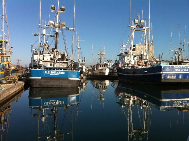 Westport Fleet 2