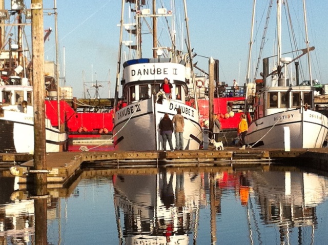 Westport Dock 5