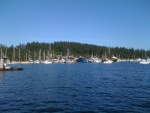 Deer Harbor 2