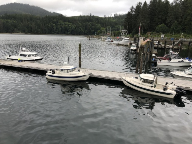 Our fleet in Winter Harbor 2019