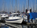 Everett Marina for a several days of skunked fishing