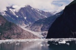 North Sawyer Glacier, Tracy Arm