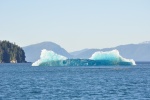 Iceberg floating in Tracy Arm entrance