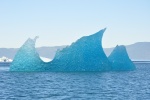 Another at Tracy Arm entrance