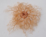 Basket Star