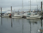 C-Dorys at Comox