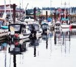 C-dories Comox 2