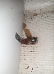 source of water intrusion