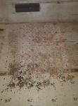 dark shavings under galley, will have to cut and inspect