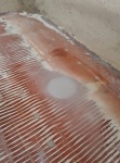 coring with thickened epoxy over