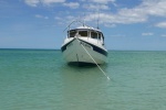 Sand Key Near Clearwater