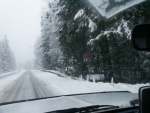 (Da Nag) Sequim State Park in January