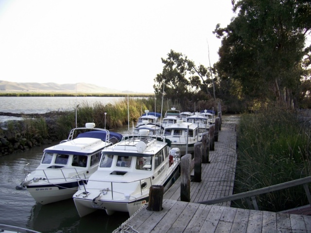 9 C-Dory's at the Wheeler Island Duck Club