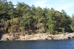 Jones Island DSC00956