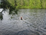 A quick dip in Garden Bay Lake