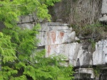 Petroglyphs in Walsh Cove