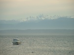 Olympic Mtns from Mutiny Bay, WA