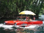 Aquatic Car Silver River Florida 07