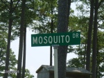 Mosquito Dr.