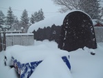 Lots of snow here, my ATV trailer is almost completely covered but my boat is safe and warm.