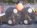 Two Sets of Crab Pots...hmm not too many crabs in Ontario Canada