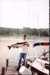 Salmon Fishing ( 2003 ) in the Ste.Marys River,Ontario,Canada....that is Sugar Island. Michigan. USA in the background.