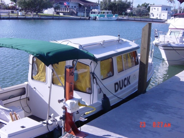 Duck at rest in Bahia -Honda with Privacy  curtains up