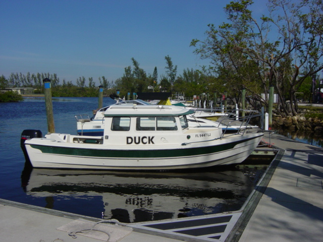 The Duck at Dock