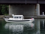 Hunky Dory Under the Bridge at Seneca Falls