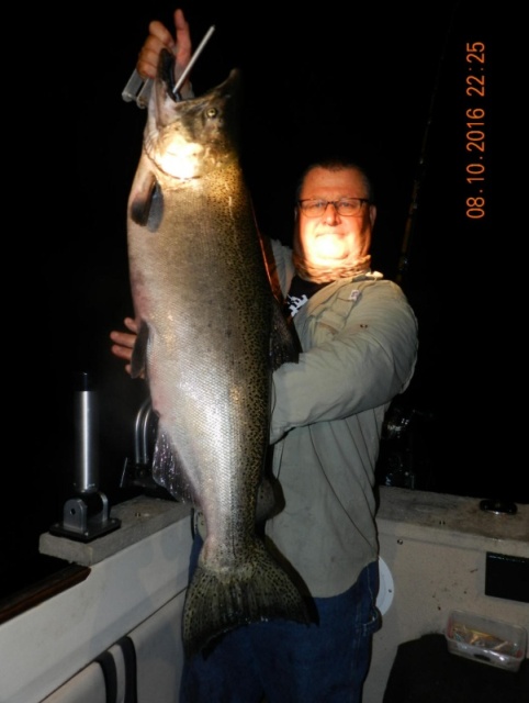 28lb lake Michigan chinook caught off Manistee, Michigan.