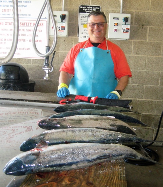 fish cleaning station at Northpoint Marina, IL (near the WI border)