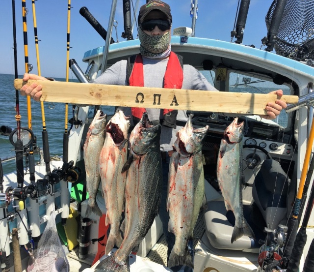 Nice mix of Coho and Chinook caught off South Haven, Michigan.