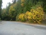 Fall at Freshwater Bay boat ramp