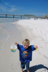 chasing sea gulls on the 
white beaches of Destin FL.