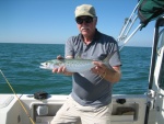 Fl. Spanish Mackerel