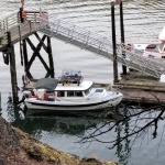 Stewart Island Washington 