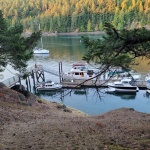 Stewart Island Moorage 