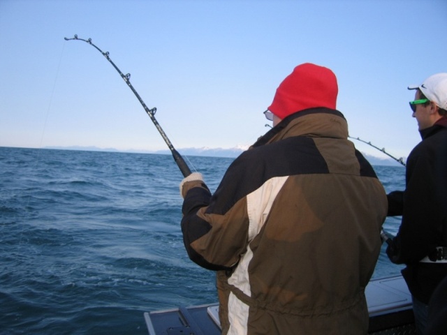 Catching halibut