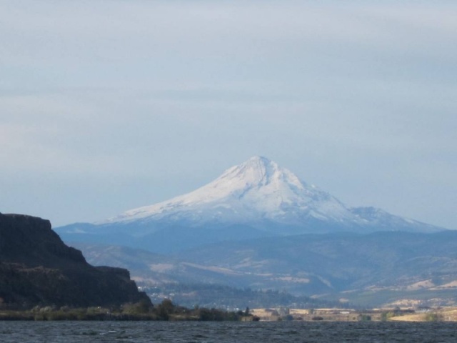 Mt. Hood