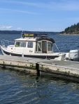 Cruising Looking for Whales 