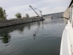 The Dalles Lock