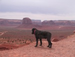 Bowie at The Valley of the Gods