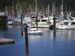 C-Dawg arrives Friday Harbor on Saturday