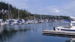 Highlight for Album: Friday Harbor 2014