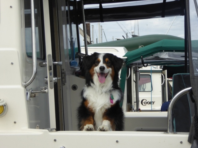 Friday Harbor 002 - Offleash