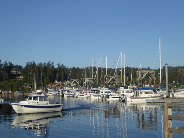 Friday Harbor 008 - Saturday Morning