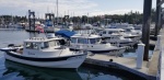 5 models lined up, older 22 angler, 22 cruiser, 16 angler, 25 cruiser, and a tomcat 255