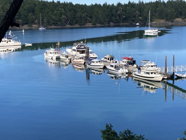 9 Cdorys PreGather at Prevost Hbr, Stuart Island