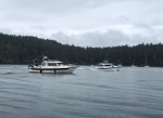 Leaving Friday Harbor with Daydream  (Pat & Patty Anderson) and Pan-A-C'ya (Steve & Joanie Pettyjohn)